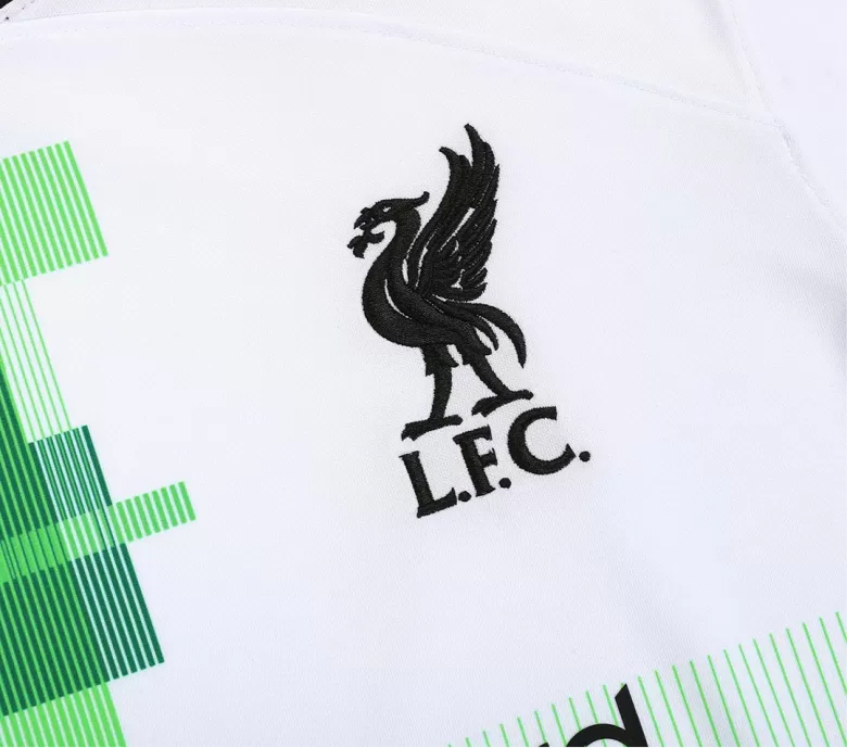 Liverpool FC 2023/24 Away Kit